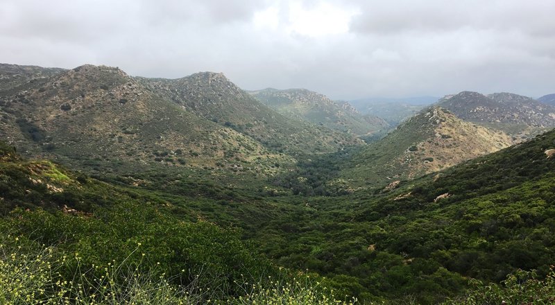 Looking back down onto the Espinosa Trail.