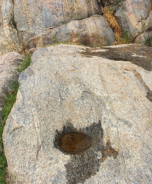 Perfectly round depressions on this boulder may have been a spot where the Kumeyaay Indians ground acorns from the nearby live Oaks.