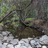 Navigate this rocky stream crossing in Tecolote Canyon.