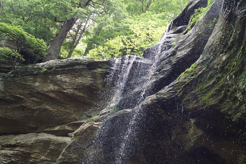 A rock garden below the falls offers a unique perspective of the falling water.