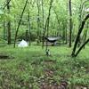 This is the campsite across the creek from the Caney Creek Trail.