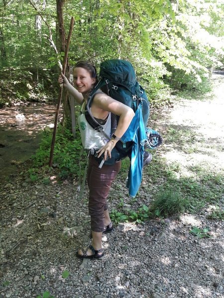 The Caney Creek Trail east trailhead is located on Fas 2400.