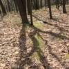 The early ascent on the Big Mountain Trail - East.