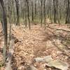 An ascent along the Big Mountain Trail is not without its share of leaf-covered rocks.