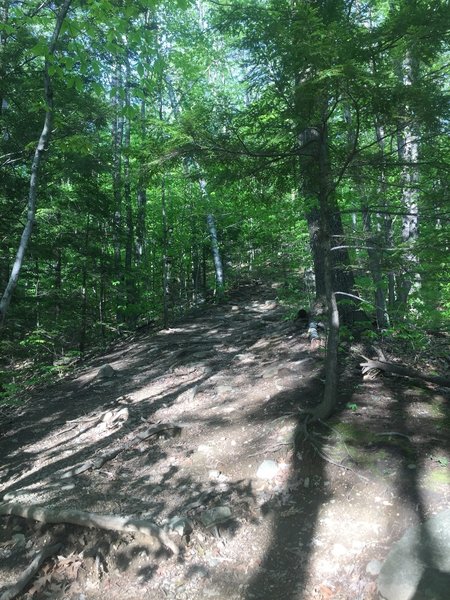 Take caution as you navigate this steep section of the trail up Rattlesnake Mountain.