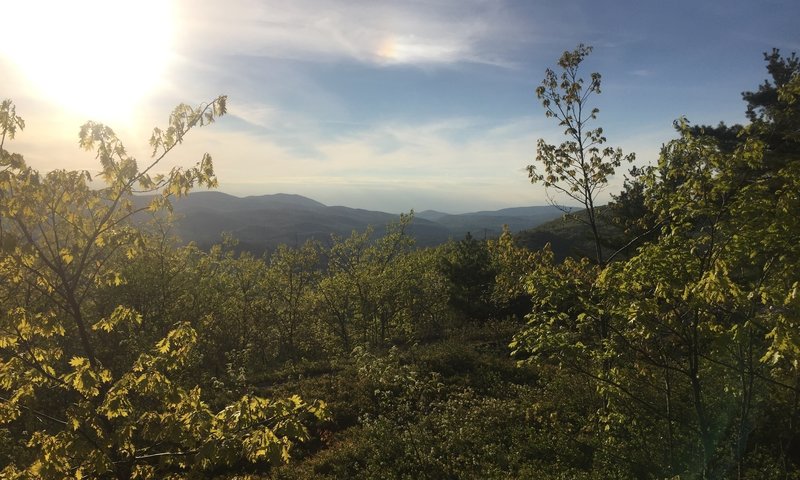 Enjoy a phenomenal view atop Rattlesnake Mountain.