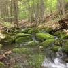 A beautiful stream parallels the trail in the first mile.