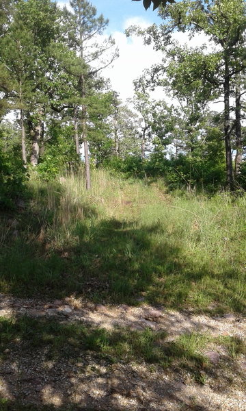 Start of connector trail. Near the gate that's across access the road.