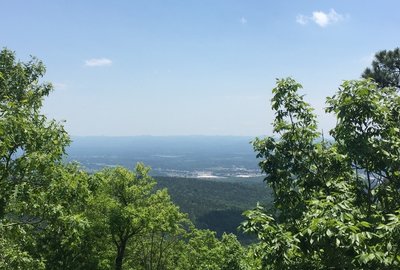 Home of the Bearcats.