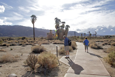 Visitors explore the Oasis of Mara Trail. Photo Credit: NPS/Brad Sutton.