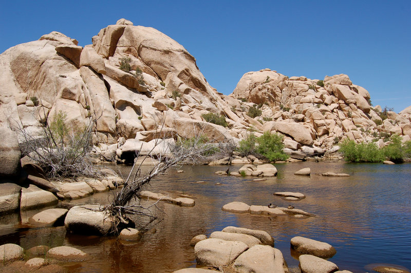 Boulders rise out of the water behind the Barker Dam.