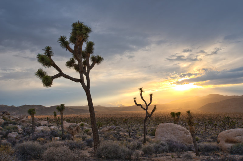 A sunset settles over the start of the Hidden Valley Nature Trail. Photo credit: NPS/Brad Sutton.