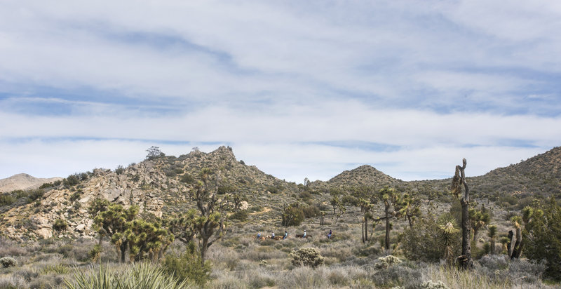 A group of equestrians pass by on the California Riding and Hiking Trail. Photo credit: NPS/Brad Sutton.