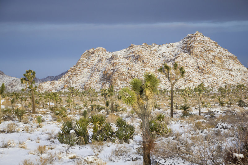 A layer of snow dusts the landscape near the Boy Scout Trail. Photo credit: NPS/Brad Sutton.