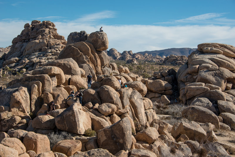 Visitors explore the rocks near the trailhead of the Quail Springs Trail. Photo credit: NPS/Lian Law.