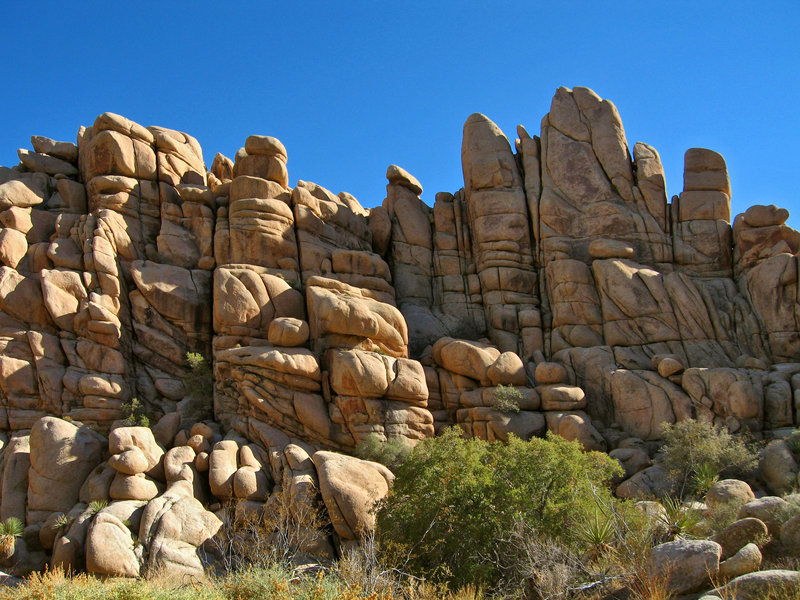 Complex rock formations surround the Willow Hole Trail. Photo credit: NPS/Robb Hannawacker.