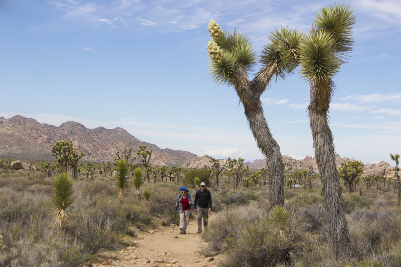 Park visitors head up the Ryan Ranch Trail. Photo credit: NPS/Hannah Schwalbe.