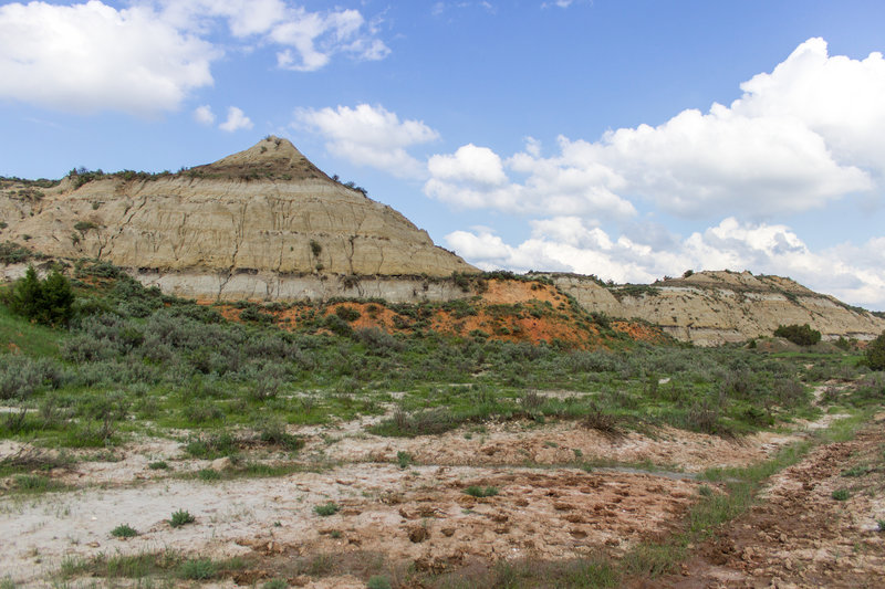 The Lower Talkington Trail offers a great spot to get out and explore!