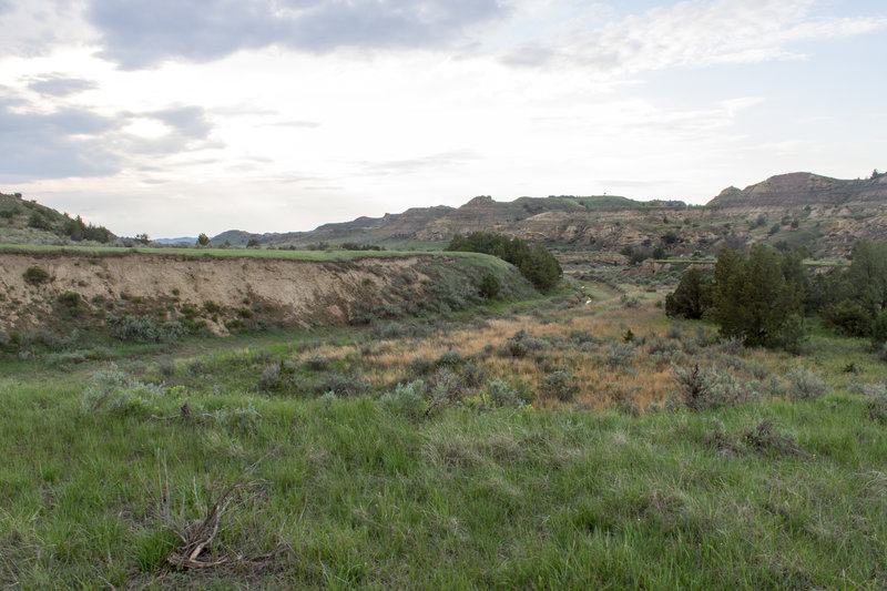 A cloudy day brings a new atmosphere to the Lower Paddock Creek Trail.