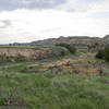 A cloudy day brings a new atmosphere to the Lower Paddock Creek Trail.