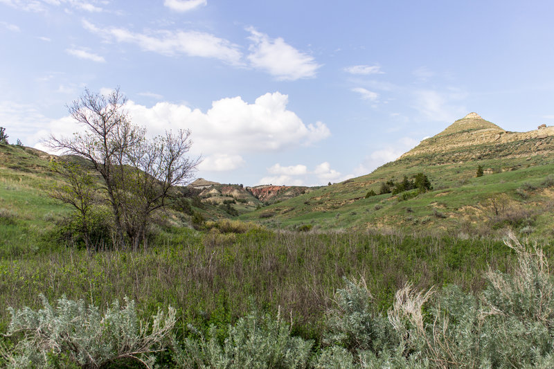 Heading into the Jones Creek Trail, enjoy this scenic view.