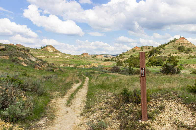 Grassy rolls and dirt peaks surround the Jones Creek Trail.