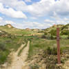 Grassy rolls and dirt peaks surround the Jones Creek Trail.