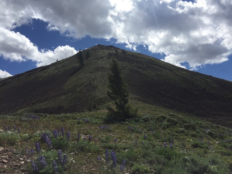 Wildflowers, high wind swept ridges and clouds to guide you along your way.