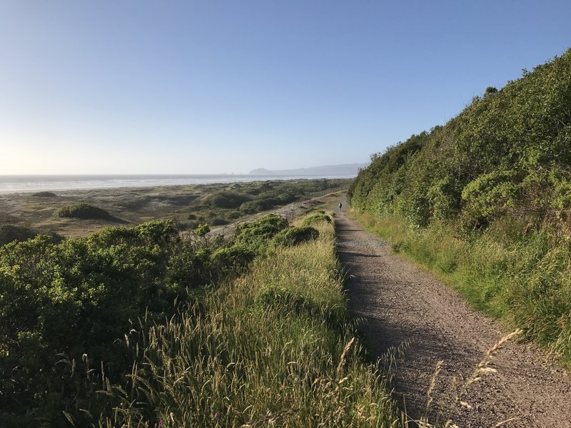 Looking back toward Clam Beach and Trinidad on the Hammond Trail.