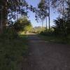 Hammond Trail near Highway 101 north of McKinleyville.