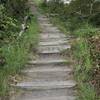 Old Home Beach staircase.