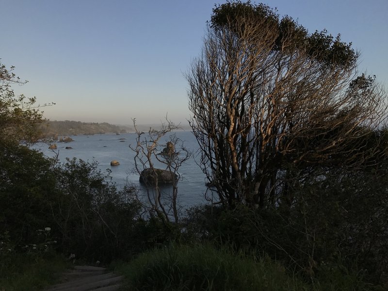 View of central Humboldt coast from the Old Home Beach Trail.