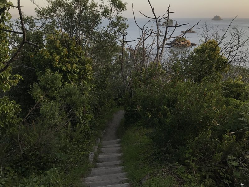 Descending down to the beach on the Old Home Beach Trail.