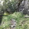 Parker Creek Trail near Old Home Beach.