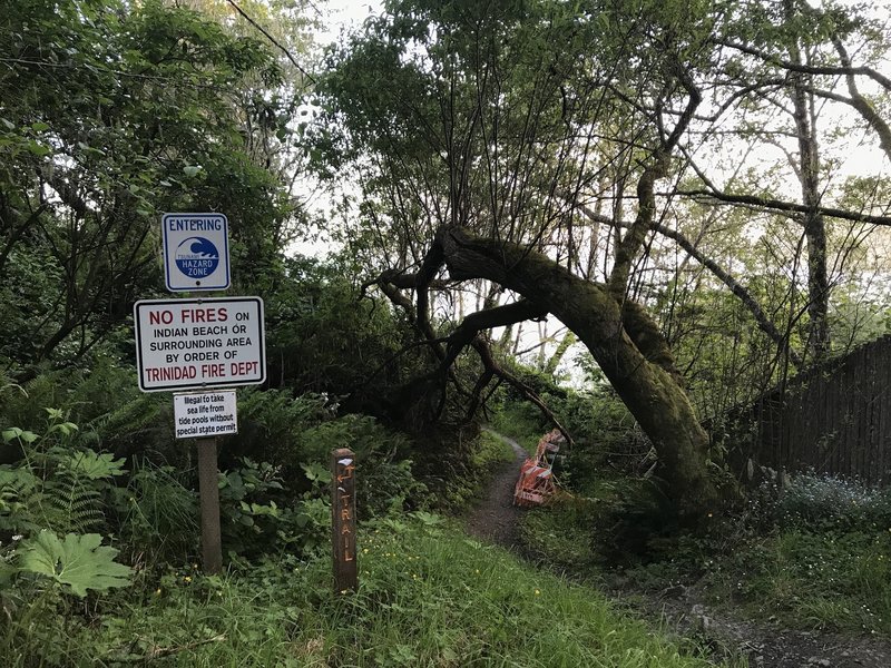 Old trees and signage along the Parker Creek Trail.