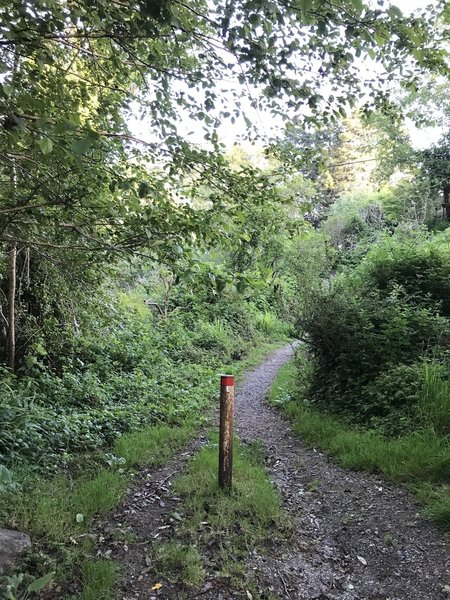 The Parker Creek trailhead.