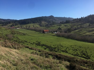Check out the scenic ranch on Fleener Creek while in the Lost Coast Headlands.