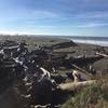 Navigate the driftwood obstacle course to enter Fleener Creek Beach.