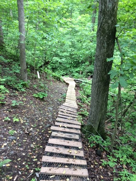 A bit of manufactured "trail" aids your passage over the creek.