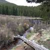 A large beaver pond provides pleasant scenery along the Wigwam Trail #609.