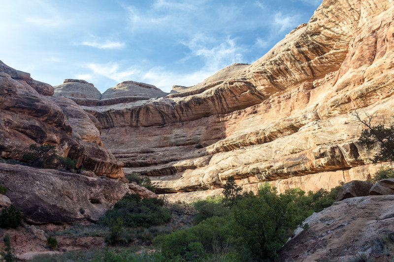 Domes of the Navajo Sandstone peek out from behind the canyon walls.