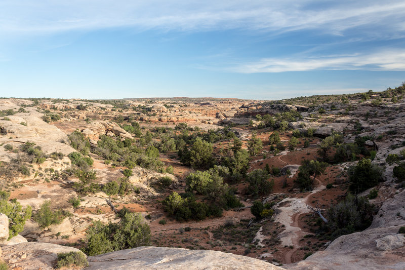 Collins Spring Trailhead presents pleasant desert scenery.