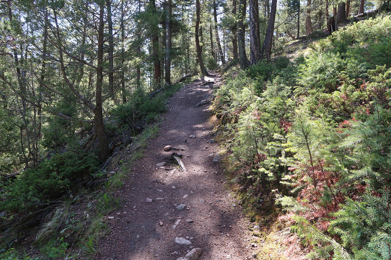 Eagle's View Trail gets steeper right before the top.