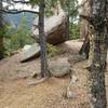 The Jones Park Trail #667 is rife with interesting rock outcroppings.