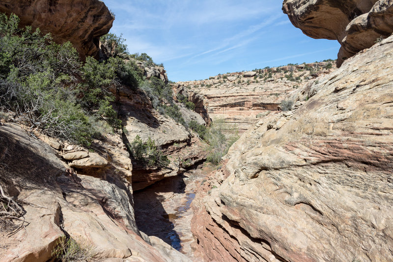 This is the first of several steep chutes to get to the canyon floor. Get ready!