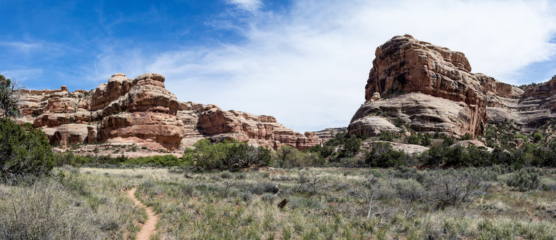 Soak up the panoramic views of Bullet Canyon while you're here.