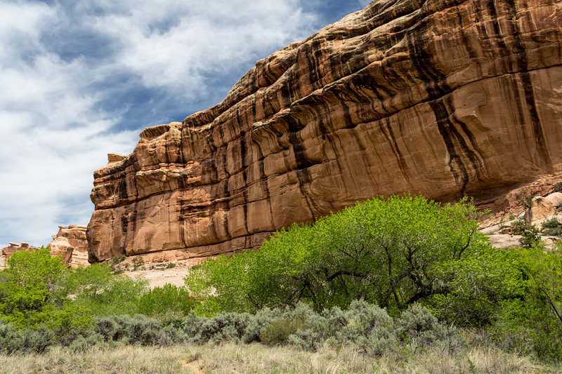 The overhanging walls of Bullet Canyon are quite beautiful.