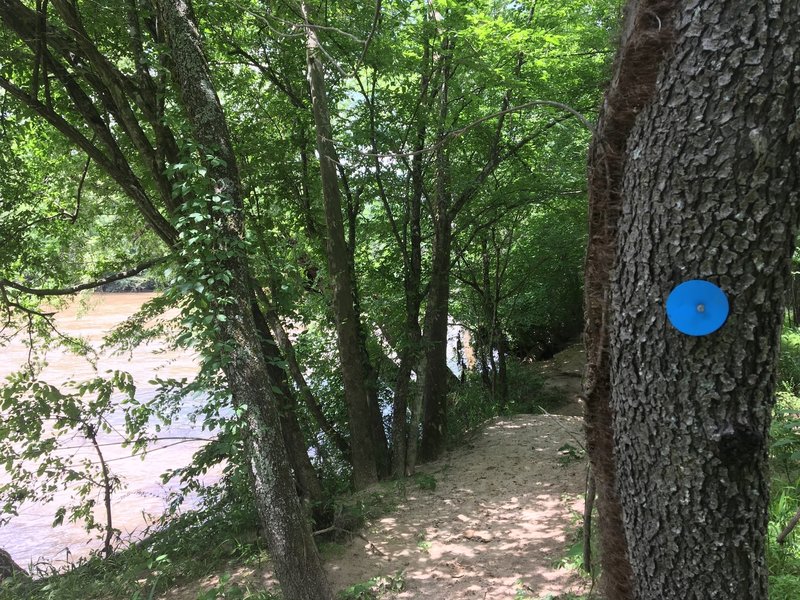 Enjoy great views along the trail near the Yadkin River.