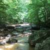 Horne Creek is beautiful in the afternoon sun.