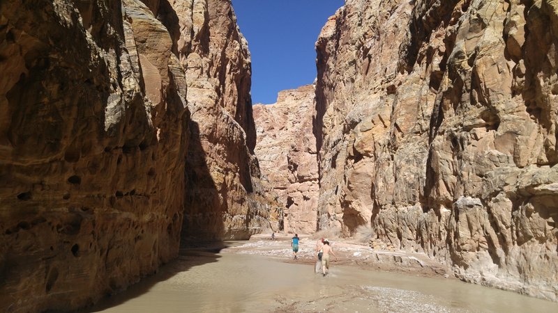 The group wades through Muddy Creek.